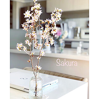 桜の枝/春を感じる♪/花のある暮らし/机のインテリア実例 - 2021-03-18 11:37:17