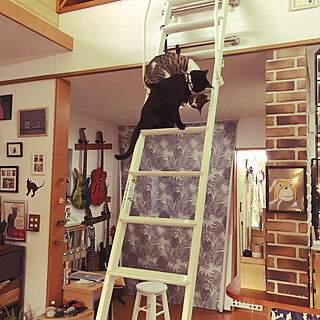 ロフトへのはしごで遊ぶ猫/ねこのいる風景/部屋全体のインテリア実例 - 2021-01-21 11:51:30
