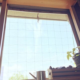 壁/天井/窓/内窓DIY/窓枠DIY/内窓...などのインテリア実例 - 2016-04-24 11:11:46