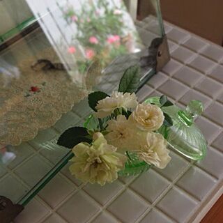 棚/植物/ミニバラ/庭のお花/古いもの...などのインテリア実例 - 2013-05-30 08:22:29