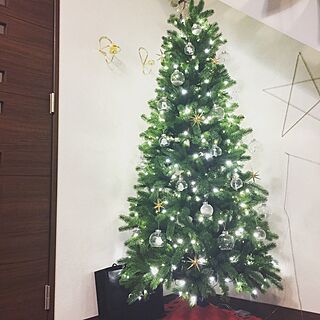 リビング/クリスマス/ig→tagtag_k/北欧/ハンドメイド...などのインテリア実例 - 2016-12-14 20:29:12