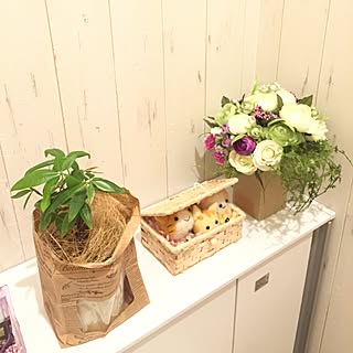 バス/トイレ/ブーケ/猫の置物/薔薇/トイレ...などのインテリア実例 - 2016-06-07 23:39:23