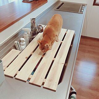 キッチン 猫対策のインテリア実例 ｜ RoomClip（ルームクリップ）