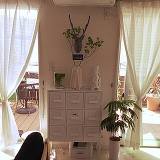 棚/ドウダンツツジの枝/IKEA/モノトーン/観葉植物のインテリア実例 - 2016-07-29 10:13:24