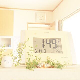 キッチン/のんきだ寝/時計のあるキッチン/観葉植物のある生活のインテリア実例 - 2017-05-14 14:00:13