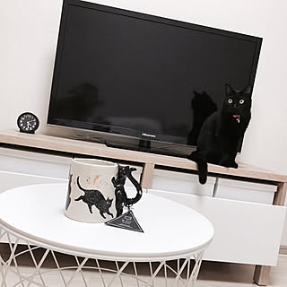 机/黒猫/無印良品/IKEA/一人暮らし...などのインテリア実例 - 2017-09-23 04:52:03