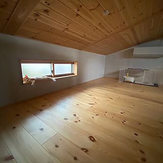 猫中心の生活/二階が住まい/注文住宅/小上がり畳スペース/屋根裏部屋のある家...などのインテリア実例 - 2020-08-04 21:17:33