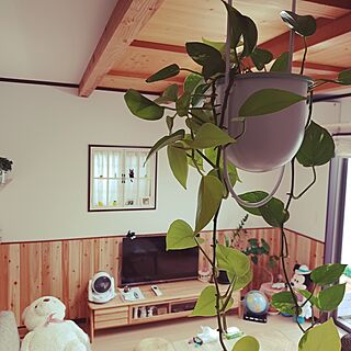 リビング/観葉植物のある暮らし/IKEAのインテリア実例 - 2023-06-30 06:56:00