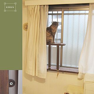 リビング/猫と暮らすマンション/DIY/100均/キャットタワーのインテリア実例 - 2016-10-04 14:30:46