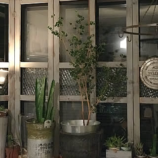 部屋全体/出窓のグリーン/観葉植物のインテリア実例 - 2018-03-08 22:08:14