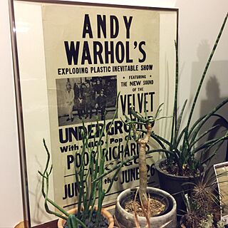 リビング/VELVET UNDERGROUND/Andy Warhol/ポスター/ヴィンテージ...などのインテリア実例 - 2017-01-08 08:59:08