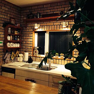 キッチン/カウンターからの眺め/お気に入りゾーン♡のインテリア実例 - 2014-01-03 20:49:53