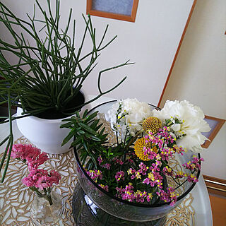 植物のある暮らし/マンション/Bloomee/お花の定期便/お花のある暮らしのインテリア実例 - 2021-04-07 11:36:08