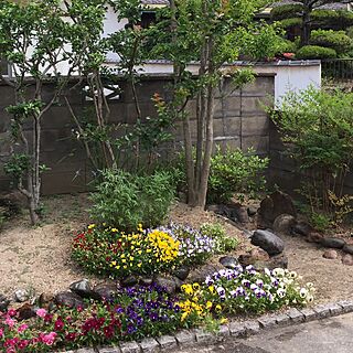 玄関/入り口/植物/イベント参加しまーす♪/庭のインテリア実例 - 2016-05-24 10:33:00