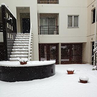 玄関/入り口/中庭/Snow/snowlyのインテリア実例 - 2014-02-13 12:53:38