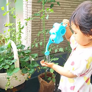 玄関/入り口/水やり/1歳7ヶ月/むすめ/おはようございます♡...などのインテリア実例 - 2015-07-08 09:47:49