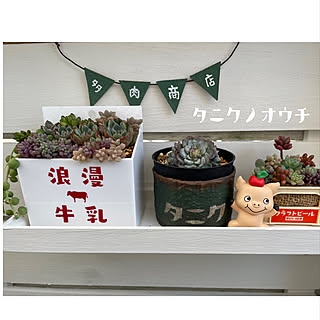 ガーデニング/季節を楽しむ暮らし/寄せ植え/多肉寄せ植え/多肉植物...などのインテリア実例 - 2022-06-04 08:57:34