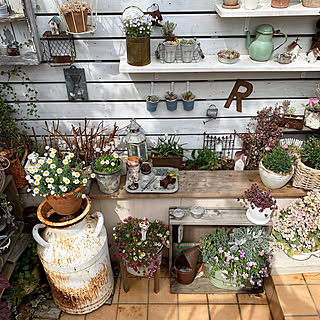 植物のある暮らし/花かんざし/花のある暮らし/グリーンのある暮らし/季節を楽しむ暮らし...などのインテリア実例 - 2021-03-16 23:23:49