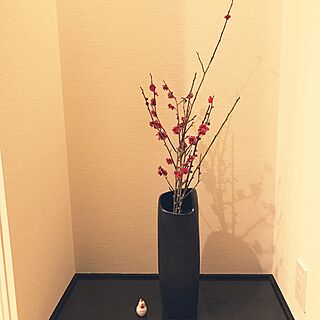 艶あり/ニトリ花瓶/季節の花/和室/床の間...などのインテリア実例 - 2017-02-24 21:32:00
