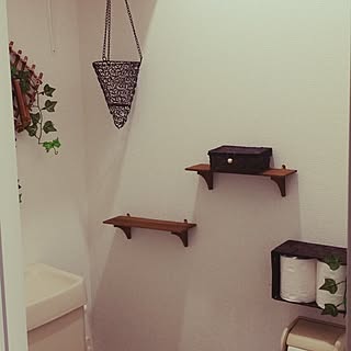 バス/トイレ/DIY/100匀のインテリア実例 - 2014-06-29 10:41:43