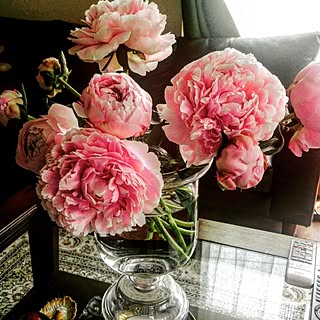 机/花瓶/peony/芍薬のインテリア実例 - 2016-10-17 15:44:09