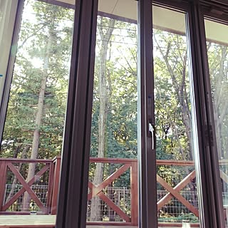 リビング/窓からの景色のインテリア実例 - 2016-11-03 14:05:29