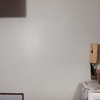 壁/天井/築40年リフォームしてない社宅/DIY/プチじゃないリノベのインテリア実例 - 2015-04-03 18:07:25