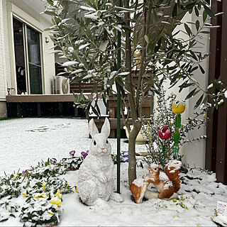 樹ら楽ステージ 木彫/ウッドデッキ/雪が降る朝/木が好き/みて頂きありがとうございます♡...などのインテリア実例 - 2023-02-10 09:05:42