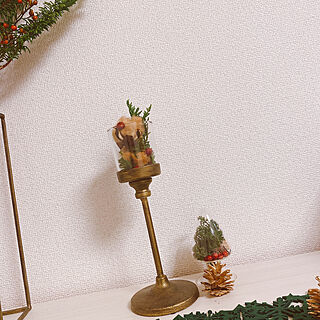 クリスマス/クリスマスディスプレイ/もみの木/ボタニカル/クリスマスツリー手作り...などのインテリア実例 - 2020-12-10 00:52:20