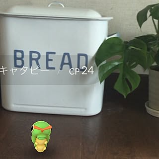 リビング/ポケモンGETだゼィ！！/ポケモンGO/姫モンステラ/ナチュラルのインテリア実例 - 2016-07-26 21:28:57