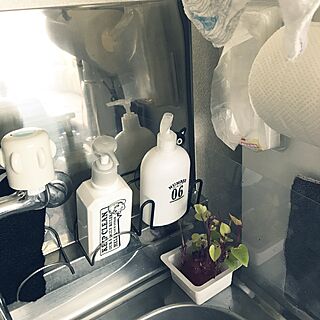 キッチン/水垢/シンク/さつまいも/植物のインテリア実例 - 2017-07-17 08:55:22
