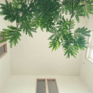 壁/天井/Botanical Style/植物に囲まれ隊/吹き抜けのインテリア実例 - 2018-03-18 14:13:25