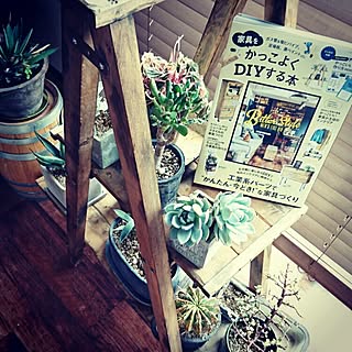 机/DIY/green/NO GREEN NO LIFE/掲載誌...などのインテリア実例 - 2016-04-14 13:24:56