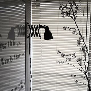 壁/天井/桜/花のある暮らし/Andy Warhol/白黒...などのインテリア実例 - 2017-04-10 21:31:28