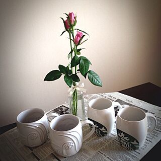 キッチン/スタバカップ/コレクション/植物/花...などのインテリア実例 - 2013-09-04 20:53:33