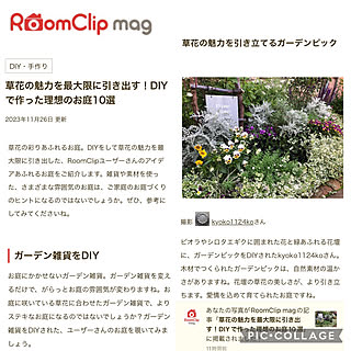 部屋全体/RoomClip mag/RoomClip mag 掲載/ガーデニング/趣味...などのインテリア実例 - 2023-11-27 06:57:35