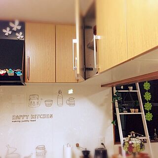 キッチン/迷惑行為のインテリア実例 - 2013-11-18 18:05:49