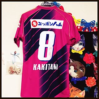 壁/天井/ユニフォーム/サッカーのインテリア実例 - 2013-10-27 09:26:51