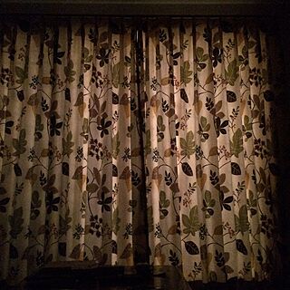 リビング/カーテン越しの光が好き/掃き出し窓/カーテン/カーテン 柄のインテリア実例 - 2015-10-27 05:47:29
