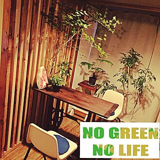机/DIY/元和室/賃貸/NO GREEN NO LIFE...などのインテリア実例 - 2015-05-31 19:36:35