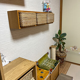 kotatsuさんの素敵な粘土作品/棚のインテリア実例 - 2023-05-14 19:49:21