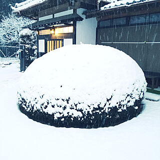 庭/雪見だいふく/昭和の家のインテリア実例 - 2022-01-06 17:06:18
