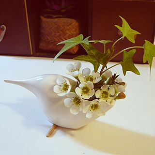 棚/花器/植物/鳥のインテリア実例 - 2013-04-10 09:40:10