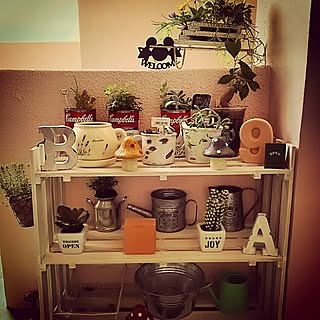 玄関/入り口/セリアリメイク/観葉植物♡/はじめまして(*´-ω-))ﾍﾟｺﾘ/ダイソー...などのインテリア実例 - 2015-06-18 23:54:32