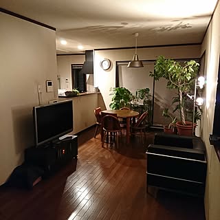 部屋全体/観葉植物/100均/ルミナスラック/ニトリフロアライト...などのインテリア実例 - 2017-04-19 22:24:56