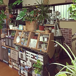 机/観葉植物/ショーケース/DIY/NO GREEN NO LIFE...などのインテリア実例 - 2016-07-14 07:07:47