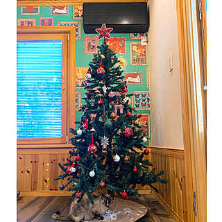 北欧住宅/ニトリのツリー/クリスマスツリー180cm/カラフルインテリア/猫と暮らす家...などのインテリア実例 - 2021-11-22 23:14:53