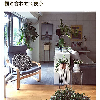観葉植物のある暮らし/観葉植物/IKEAの棚/IKEAのソファー/RoomClip mag 掲載...などのインテリア実例 - 2021-05-08 17:58:29