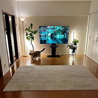 部屋全体/SONY BRAVIA 65インチ/SONY BRAVIA/コメント感謝ですᵕ̤ᴗᵕ̤/フォローの押し逃げお許し下さい★...などのインテリア実例 - 2023-09-22 12:47:39