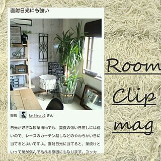 部屋全体/掲載していただきました☆/RoomClip magのインテリア実例 - 2016-08-08 13:11:04